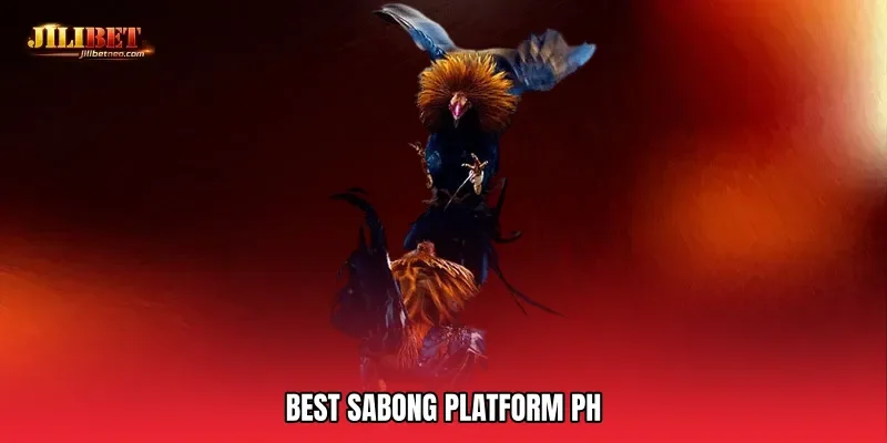 Best sabong platform PH