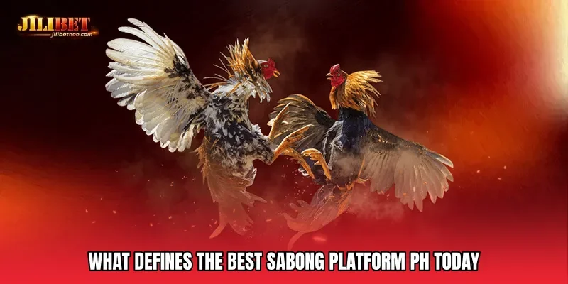 What Defines the Best sabong platform PH Today
