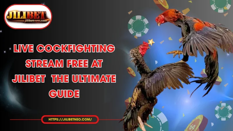 live cockfighting stream free at jilibet the ultimate guide